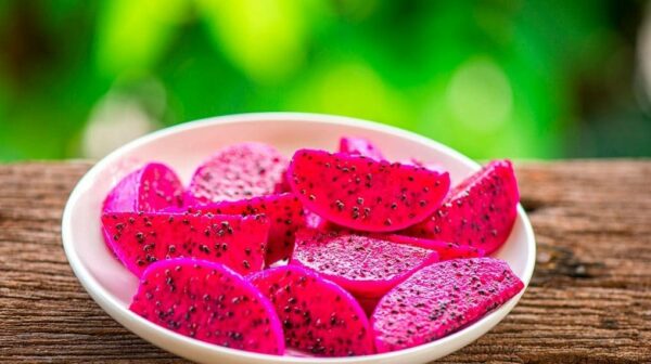 premium organic pitaya fruits