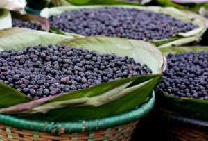 Organic Acai Food safety