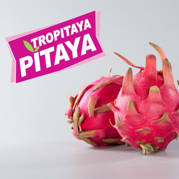 Tropitaya Premium Pitaya Wholesale