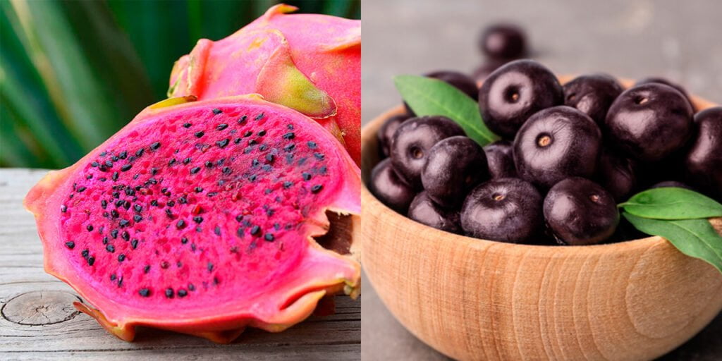 Pitaya vs Acai