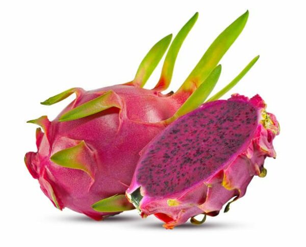 Wholesale Dragon fruit or Pitaya fruit
