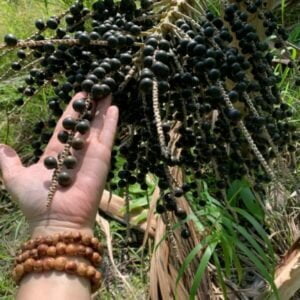 Organic Non-GMO Acai Quality