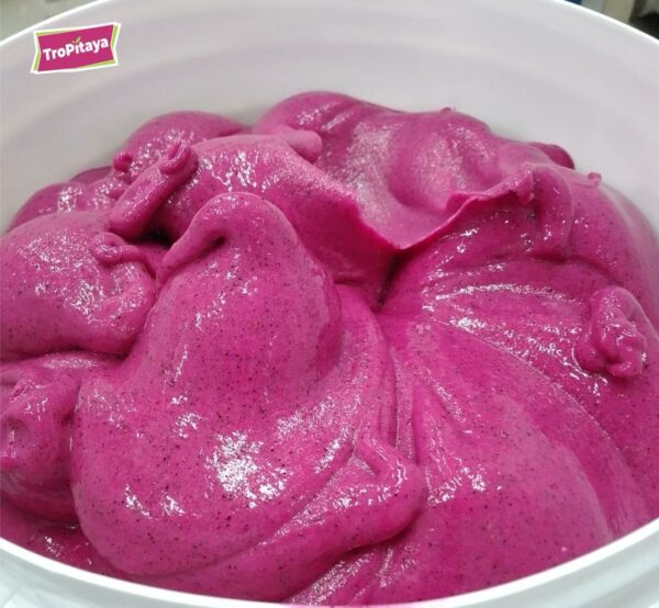 Premium organic dragon fruit sorbet