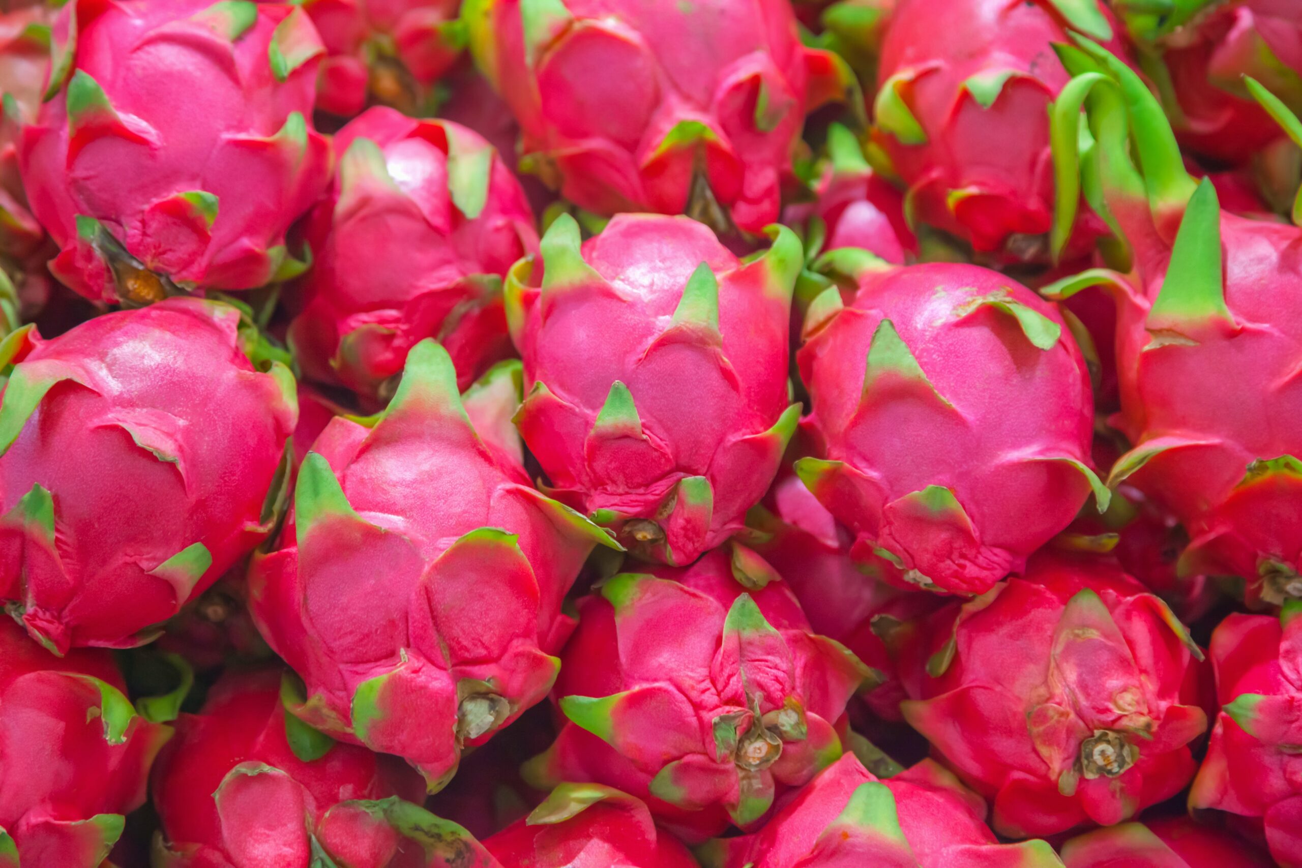 what is pitaya