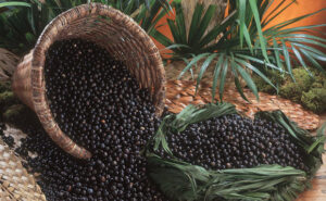 Acai Deals Near Me