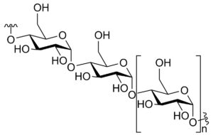 Acai Fruit Polysaccharide