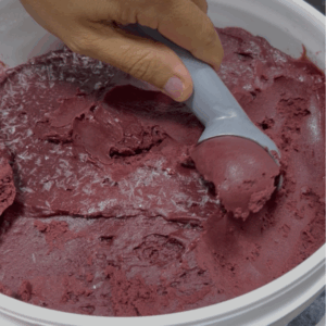 frozen acai sorbet