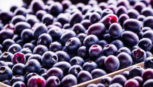 economic impacts acai