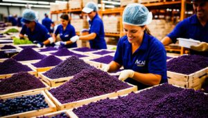 hotels incorporate acai pitaya