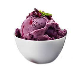 Acai Sorbet