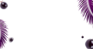 Bg 02