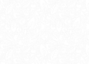 Bg Neutro Branco