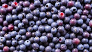 acai shelf life