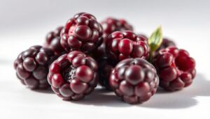 High quality acai berries